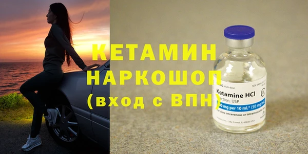 индика Белокуриха
