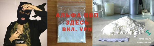 индика Белокуриха