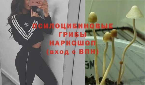 2c-b Беломорск