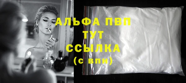 индика Белокуриха