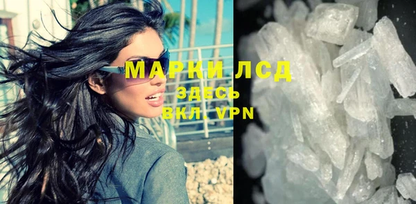 индика Белокуриха