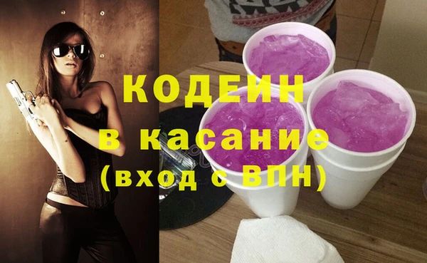 индика Белокуриха