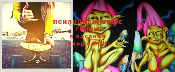 индика Белокуриха