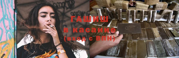 индика Белокуриха