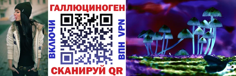 купить закладку  Оха  Галлюциногенные грибы Magic Shrooms 